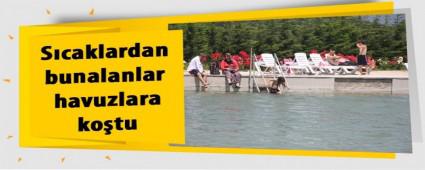 Scaklardan bunalanlar havuzlara kotu