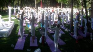 ABANT'TA  YOGA FESTVAL