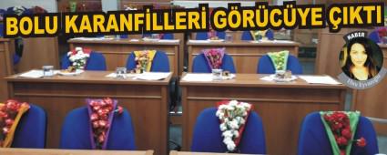 BOLU KARANFLLER GRCYE IKTI