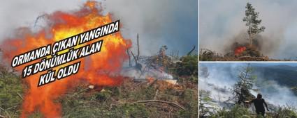 ORMANDA IKAN YANGINDA 15 DNMLK ALAN KL OLDU