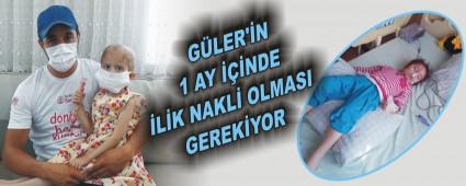 Gler'in 1 ay iinde ilik nakli olmas gerekiyor