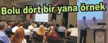 Bolu drt bir yana rnek