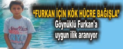 Gynkl Furkan'a uygun ilik aranyor