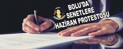 BOLU'DA SENETLERE HAZRAN PROTESTOSU