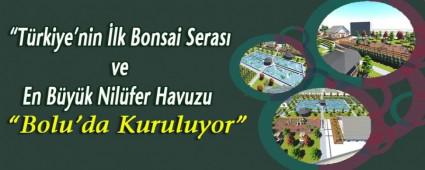 Trkiye'nin lk Bonsai Seras ve En Byk Nilfer Havuzu Bolu\'da Kuruluyor
