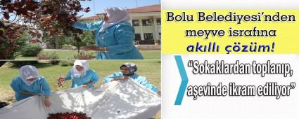 Bolu Belediyesi'nden meyve israfna akll zm!