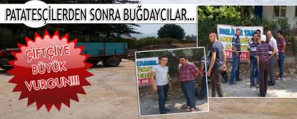 PATATESLERDEN SONRA BUDAYCILAR