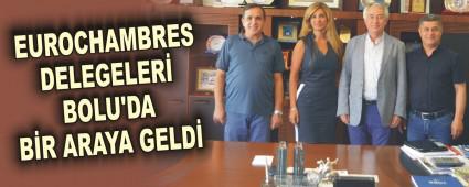 EUROCHAMBRES DELEGELER BOLU'DA BR ARAYA GELD