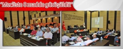 Mecliste 8 madde grld