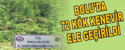 BOLU'DA 72 KK KENEVR ELE GERLD