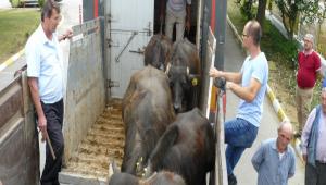 Gen iftilere manda teslimi yapld