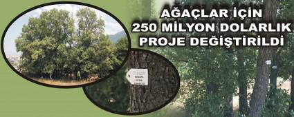 AALAR N 250 MLYON DOLARLIK PROJE DETRLD