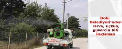 Bolu Belediyesi'nden larva, ukun ve gvercin biti ilalamas