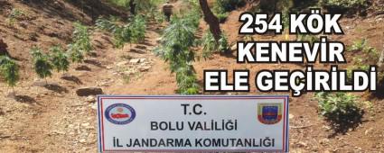 254 KK KENEVR ELE GERLD