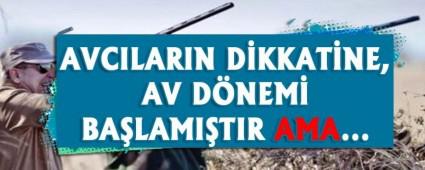 AVCILARIN DKKATNE, AV DNEM BALAMITIR AMA...