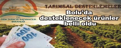 Bolu'da desteklenecek rnler belli oldu