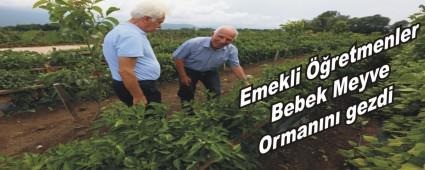 Emekli retmenler Bebek Meyve Ormann gezdi