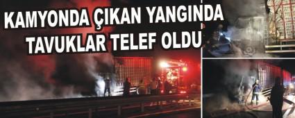 KAMYONDA IKAN YANGINDA TAVUKLAR TELEF OLDU