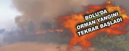 BOLU'DA ORMAN YANGINI TEKRAR BALADI