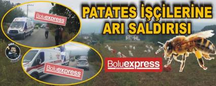 PATATES LERNE ARI SALDIRISI