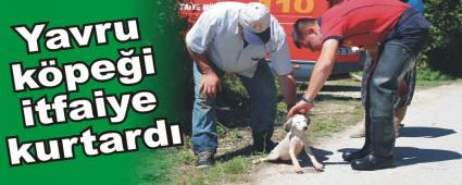 Yavru kpei itfaiye kurtard