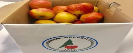 Elma projesi meyve verdi