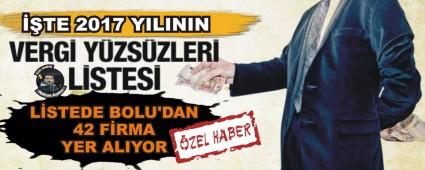 TE 2017 YILININ VERG YZSZLER