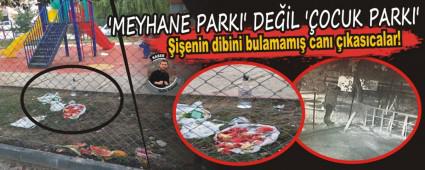 MEYHANE PARKI' DEL OCUK PARKI'
