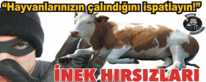 AT YAYLASINDA HIRSIZLAR CRT ATIYOR