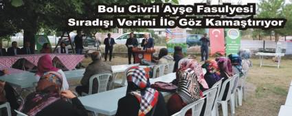 Bolu Civril Aye Fasulyesi Srad Verimi le Gz Kamatryor