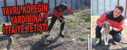 YAVRU KPEN YARDIMINA TFAYE YETT