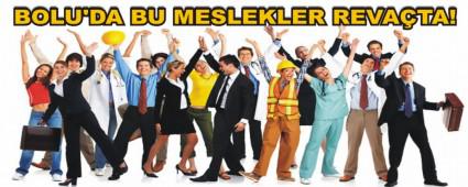 BOLU'DA BU MESLEKLER REVATA!