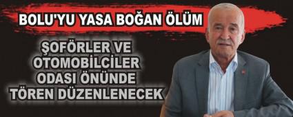 BOLU'YU YASA BOAN LM