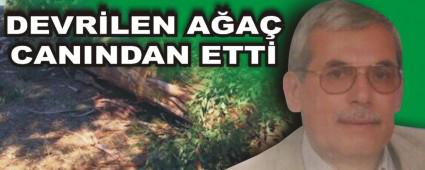 DEVRLEN AA CANINDAN ETT