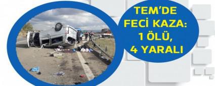 TEM'DE FEC KAZA: 1 L, 4 YARALI