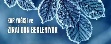 Bolu'da don olayna dikkat!