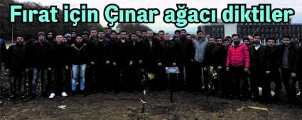 Frat iin nar aac diktiler