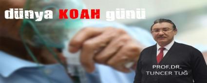  HAVA KRLL KOAH'I TETKLYOR