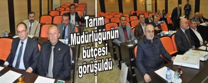 Tarm Mdrlnn btesi grld