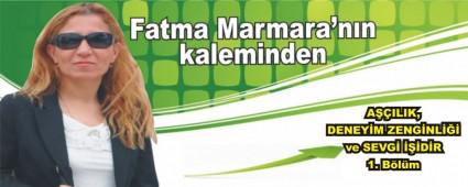 AILIK, DENEYM ZENGNL ve SEVG DR  1. Blm