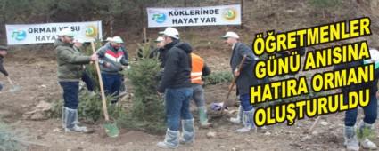 RETMENLER GN ANISINA HATIRA ORMANI OLUTURULDU