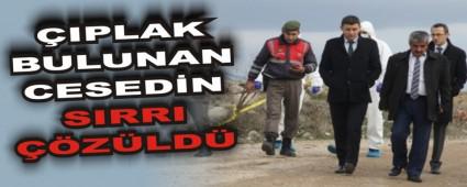 IPLAK BULUNAN CESEDN SIRRI ZLD