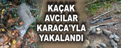 KAAK AVCILAR KARACA'YLA YAKALANDI