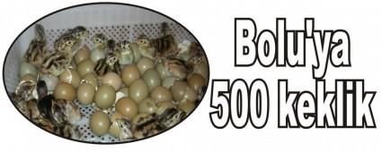 Bolu'ya 500 keklik