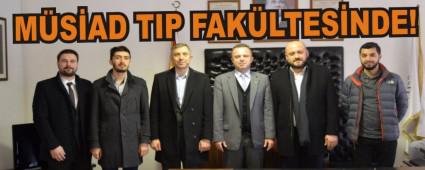 MSAD TIP FAKLTESNDE!