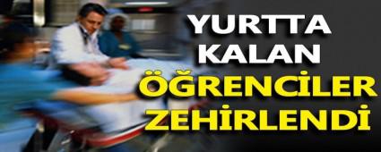 YURTTA KALAN RENCLER HASTANEYE KALDIRILDI