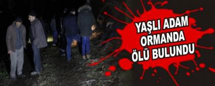 YALI ADAM ORMANDA L BULUNDU