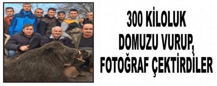 300 KLOLUK DOMUZU VURUP, FOTORAF EKTRDLER