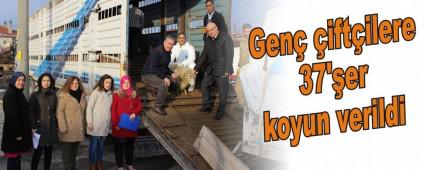 Gen iftilere 37'er koyun verildi