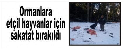 Ormanlara etil hayvanlar iin sakatat brakld